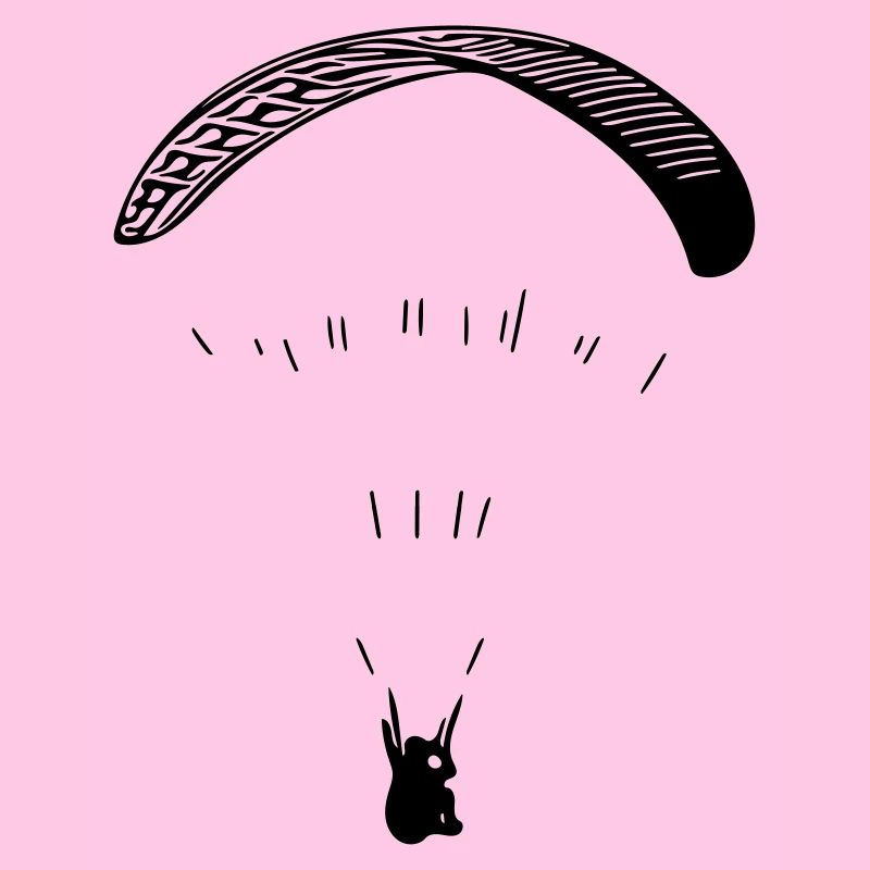 Paraglider