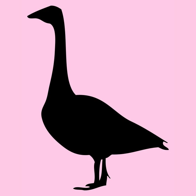 Gans