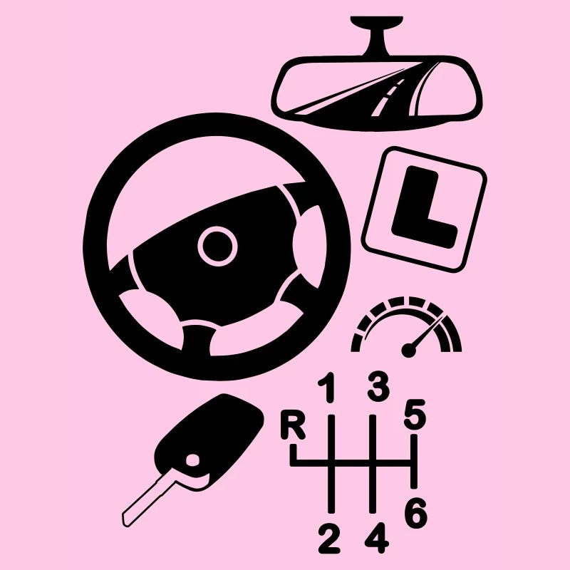 logo Car driving instructor