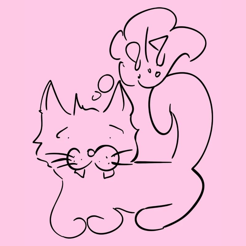 Katze