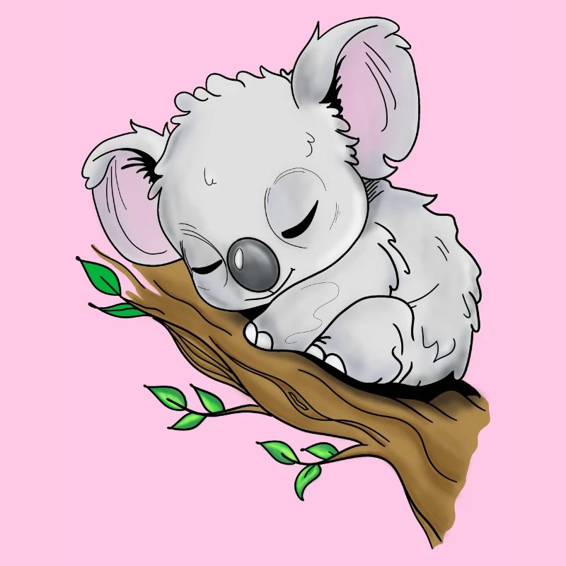 Schlafendes Koala