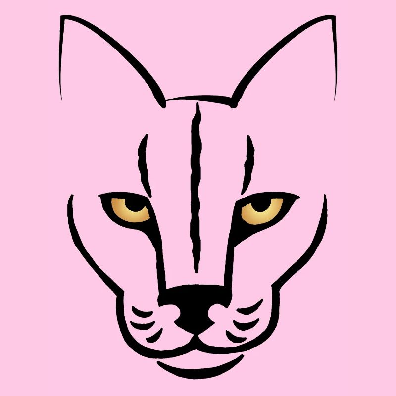 Le regard du chat