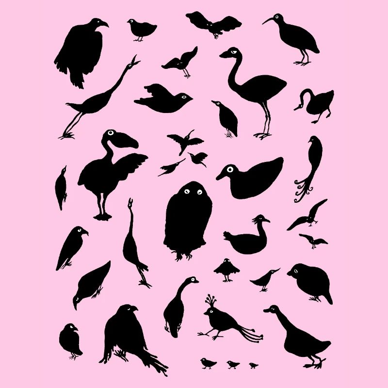 oiseaux