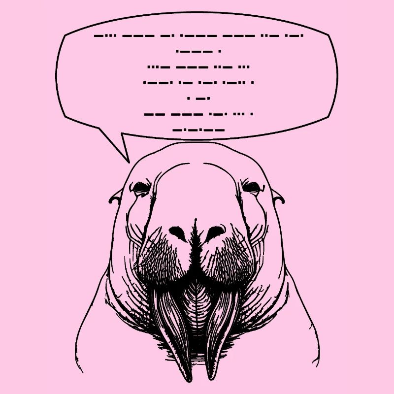 Sprichst du Morsecode?