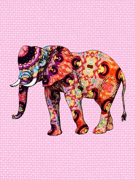 Oriental Elephant