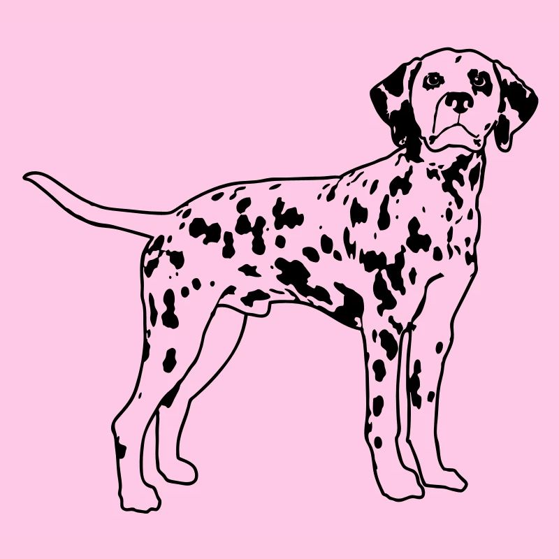 Dalmatian eu