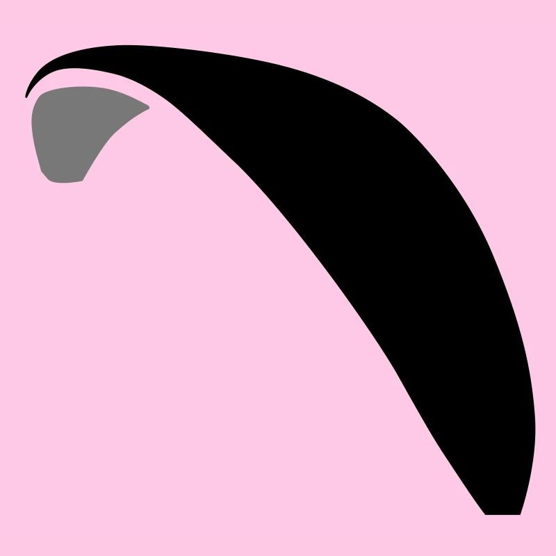 Paraglider