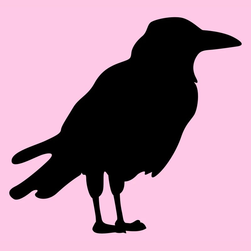 Krähe