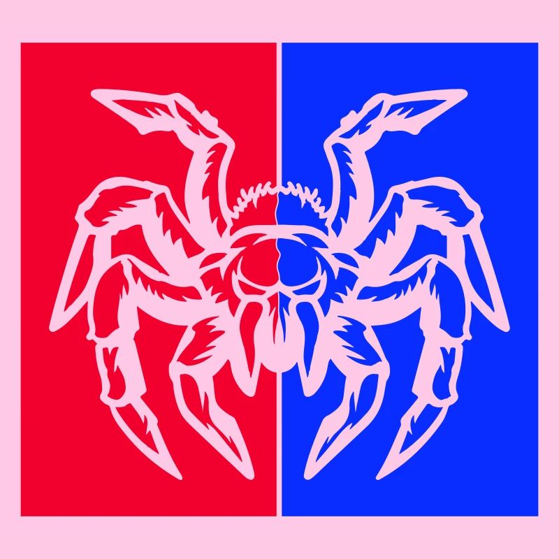 spider spider
