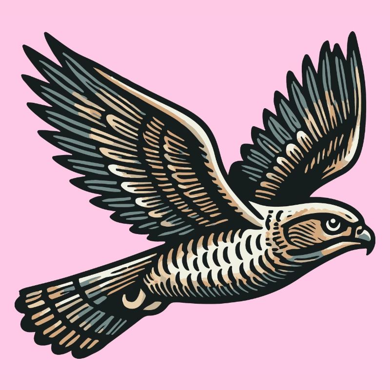 Hawk