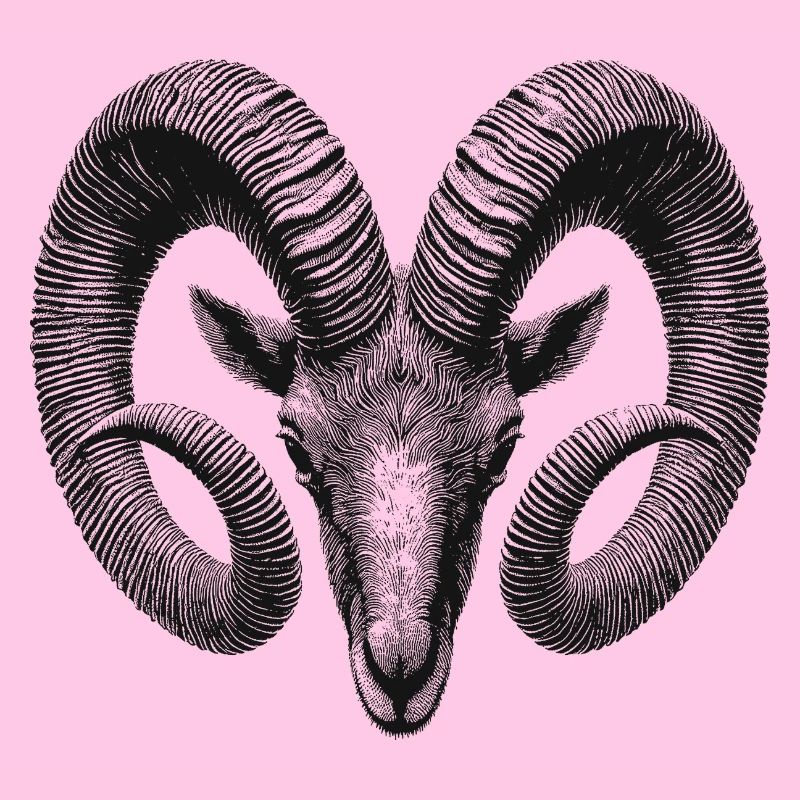 Ram