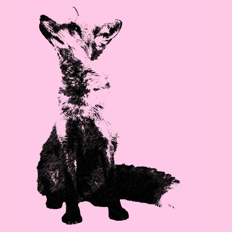 fuchs