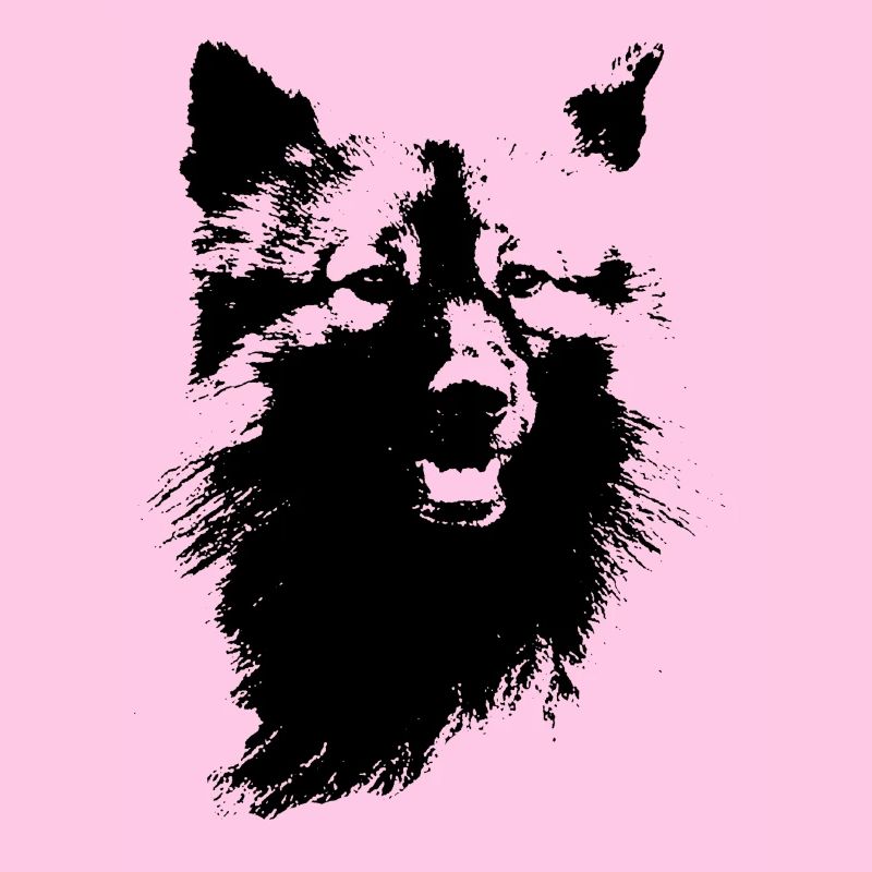 Wolfsspitz Kopf