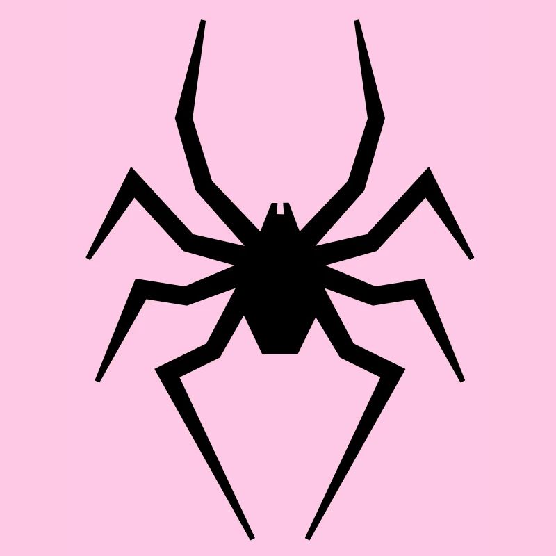 araignée