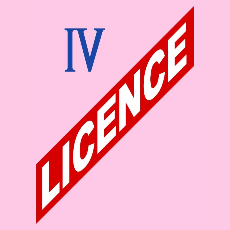 License 4