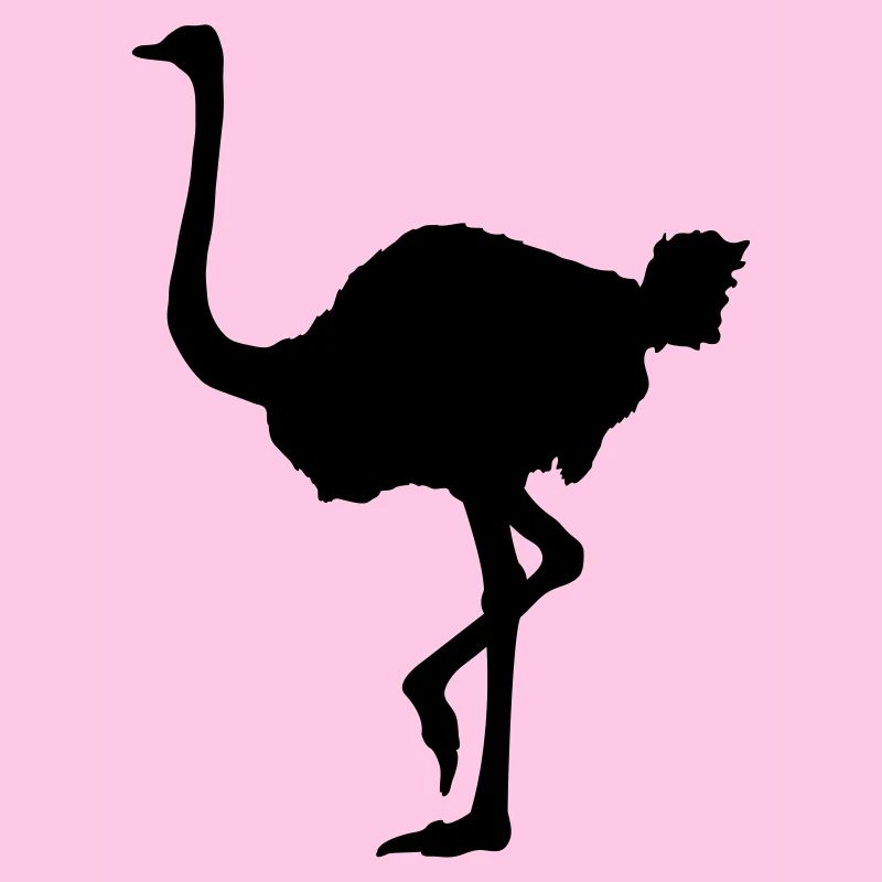Ostrich