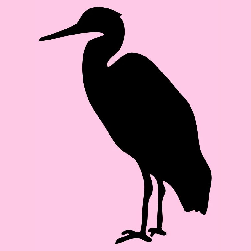 Storch Watvogel