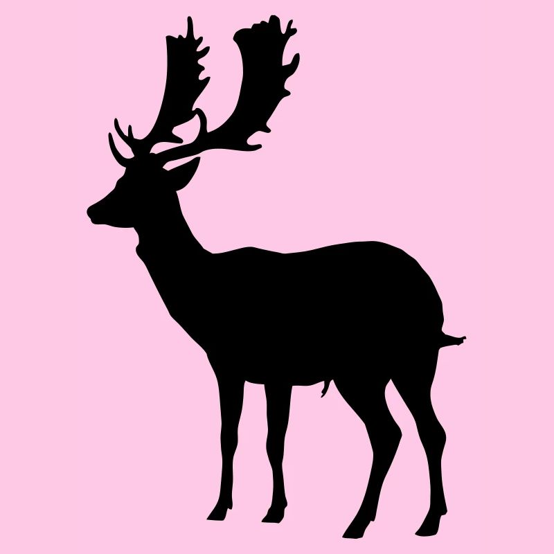 hirsch - geweih - jagd - jäger