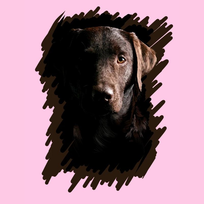 Labrador