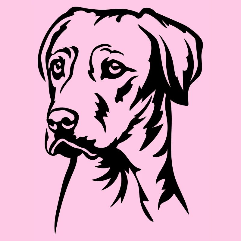 Rhodesian Ridgeback Head