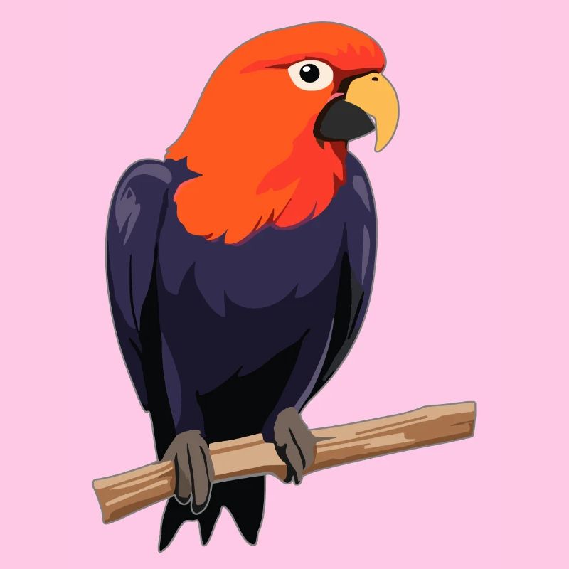 Papagei Vogel