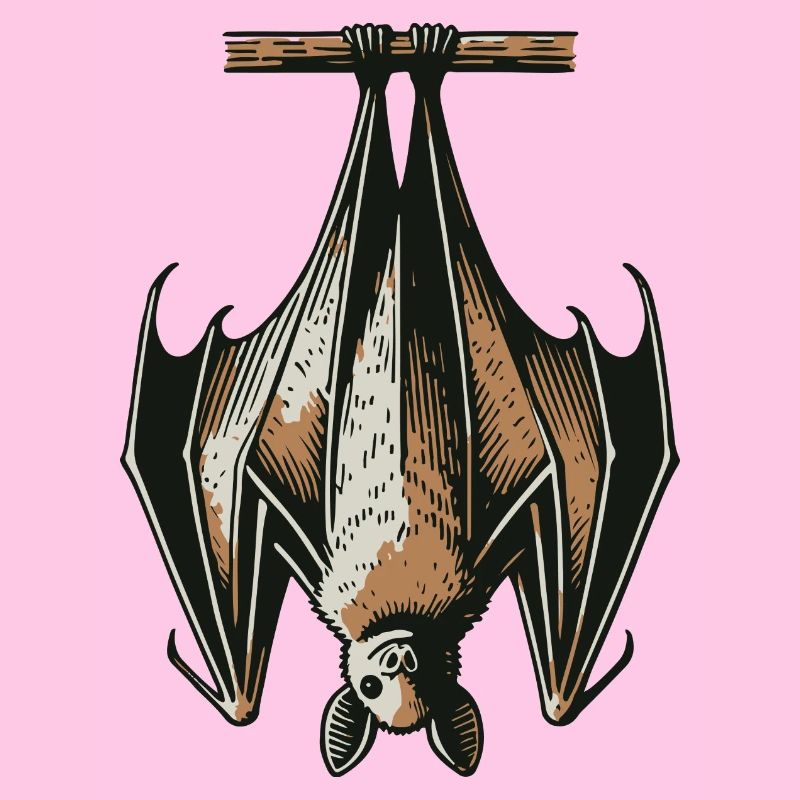 Fledermaus