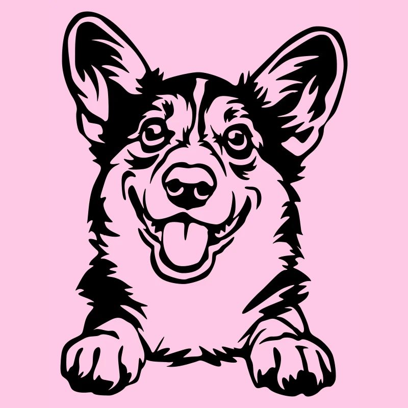 Welsh Corgi