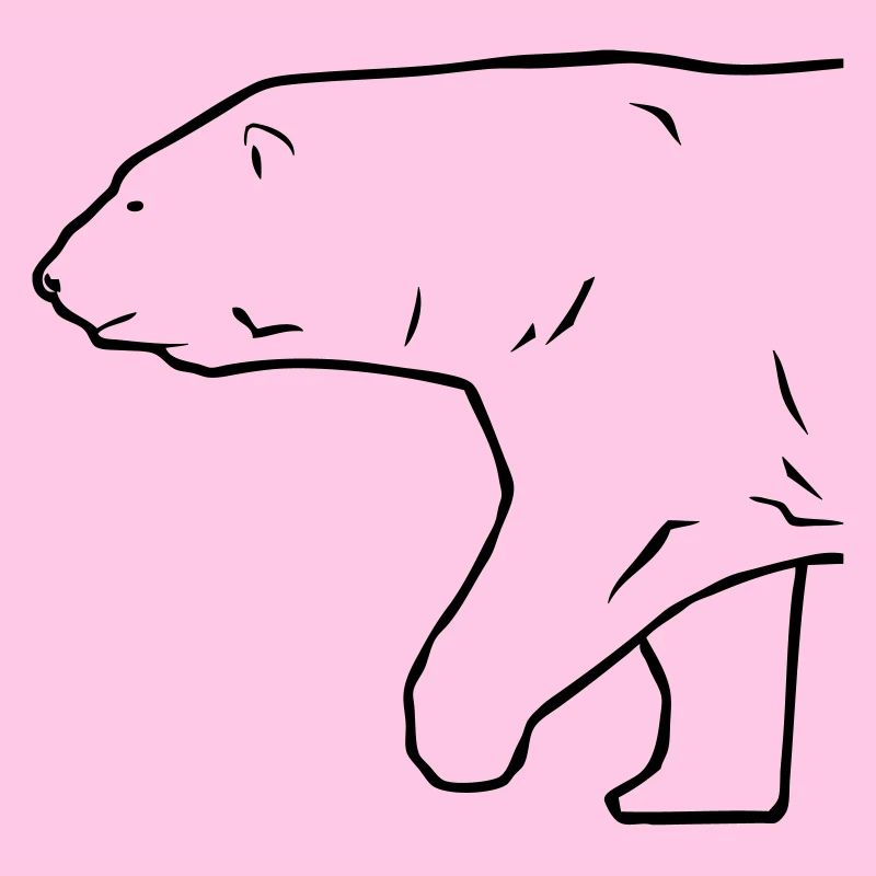 Polar Bear - Eisbär