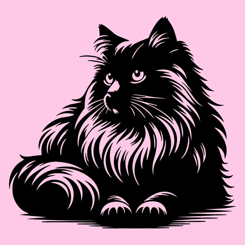 Ragdoll Cat