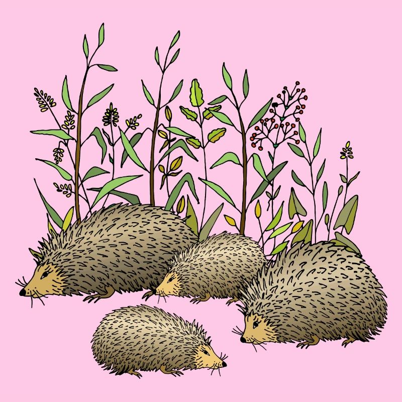 Igel