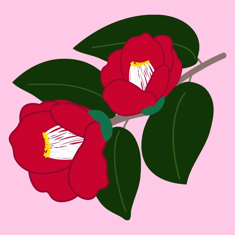 two red camellia flowers