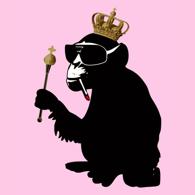 monkey hero