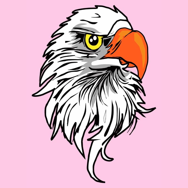 bande dessinée aigle