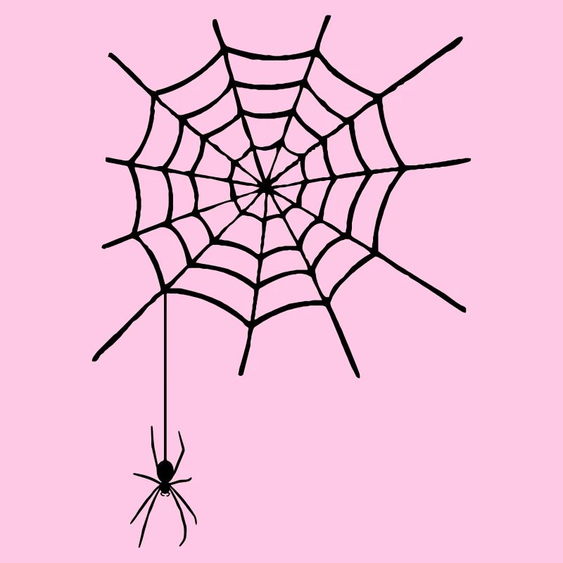 Cobweb with spider