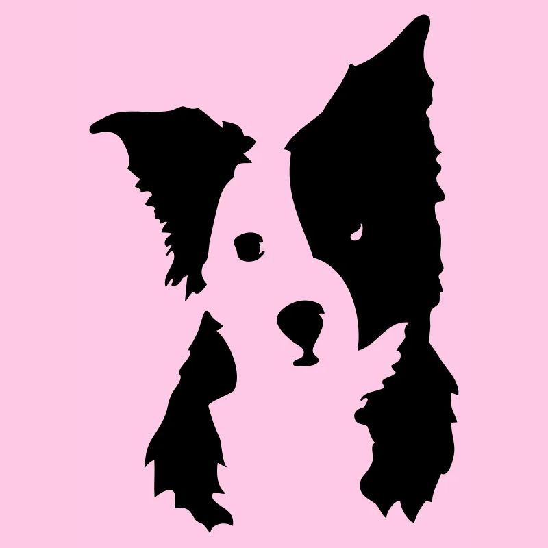 Cute dog