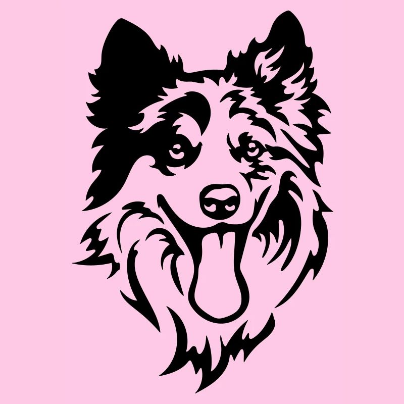 Tête de Border Collie