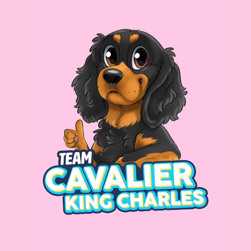 TEAM Cavalier King Charles - Noir et Feu