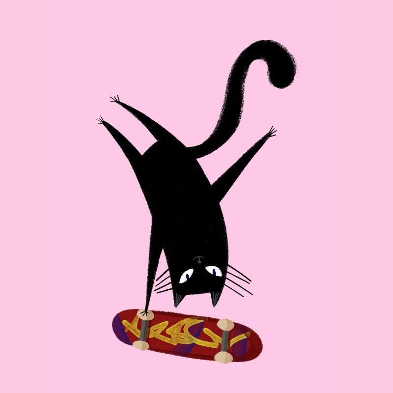 Skateboard pour chat