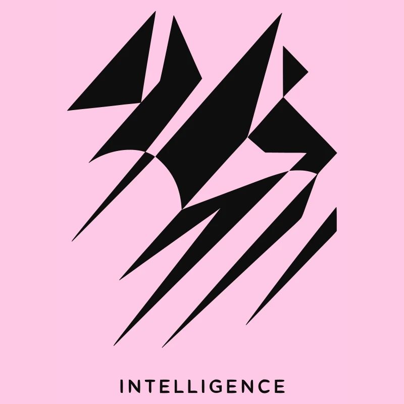 Intelligence Style 