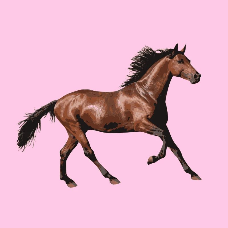 amour de cheval