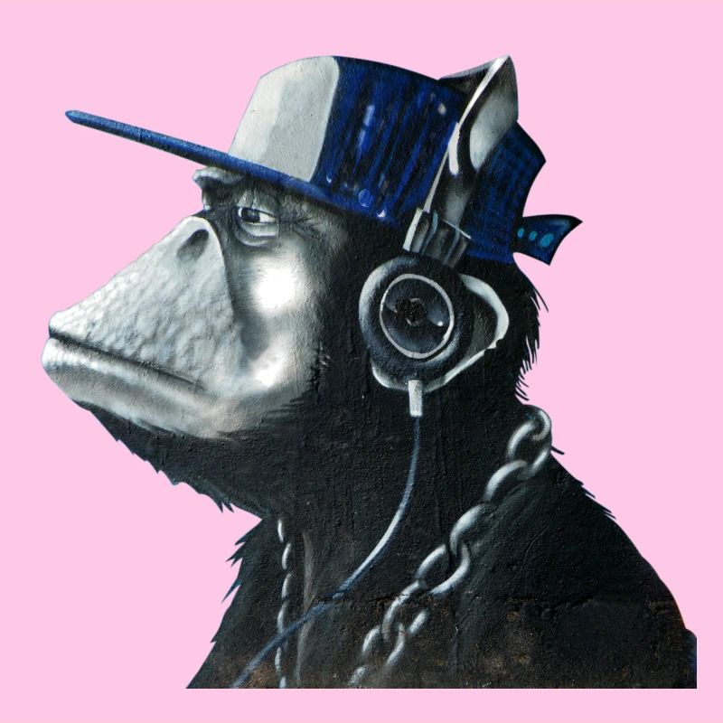 Monkey graffiti by CustomStyle