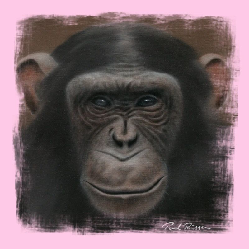 Chimpanzee