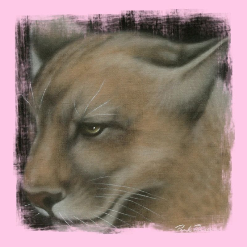 cougar