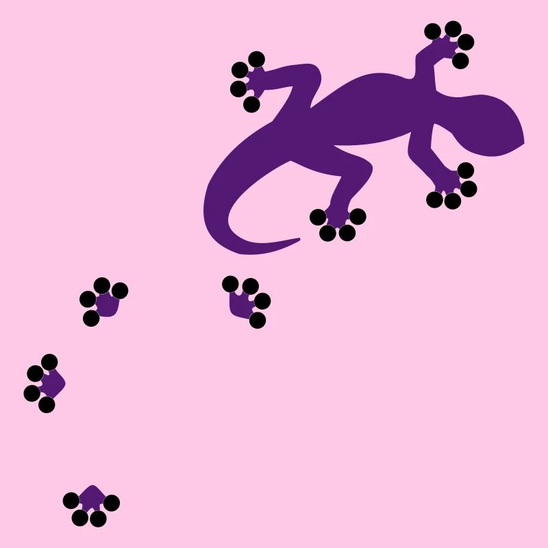 Gecko - 2c