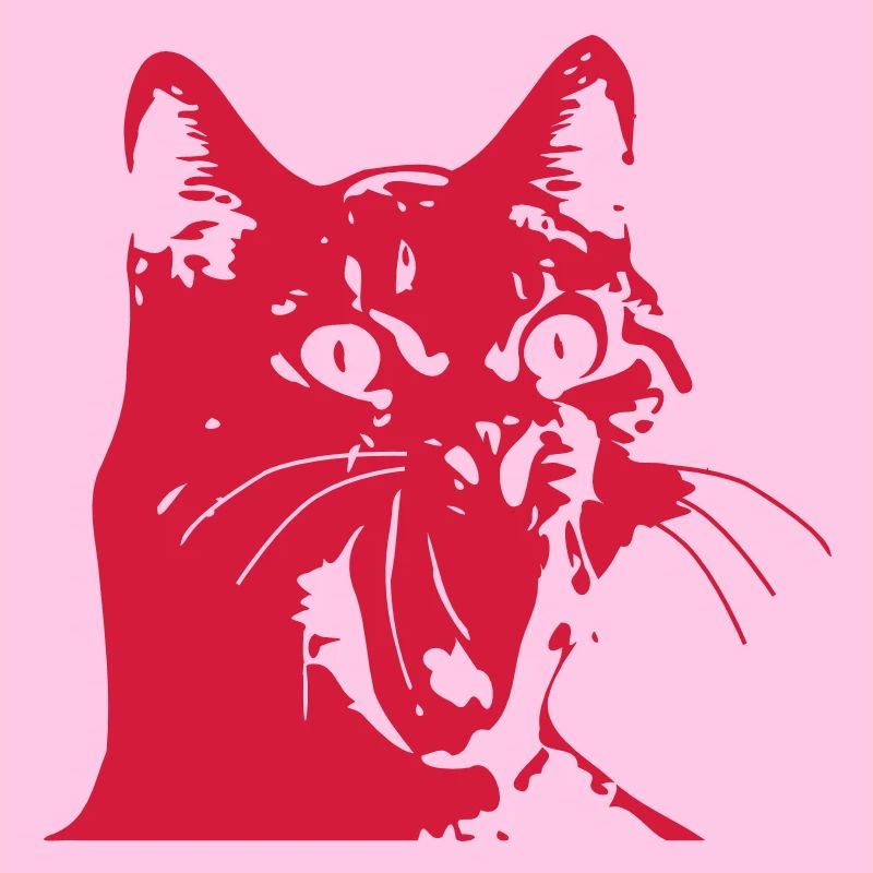 Cat OMG!