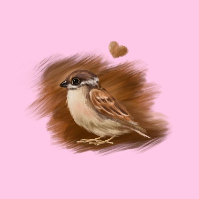 sparrow