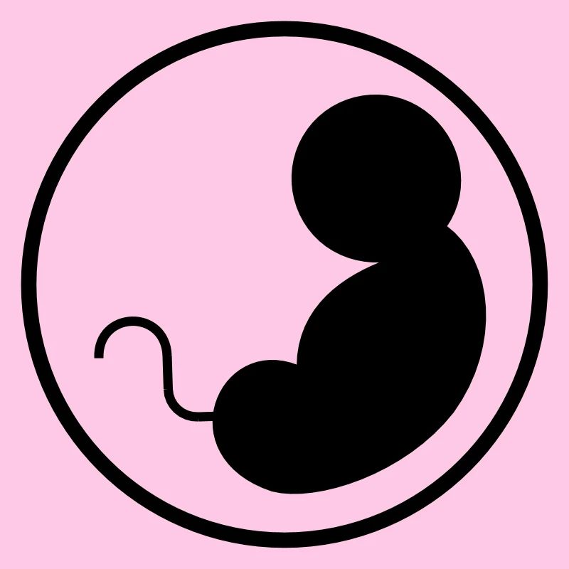 Enceinte - Bébé - Maternité - Grossesse