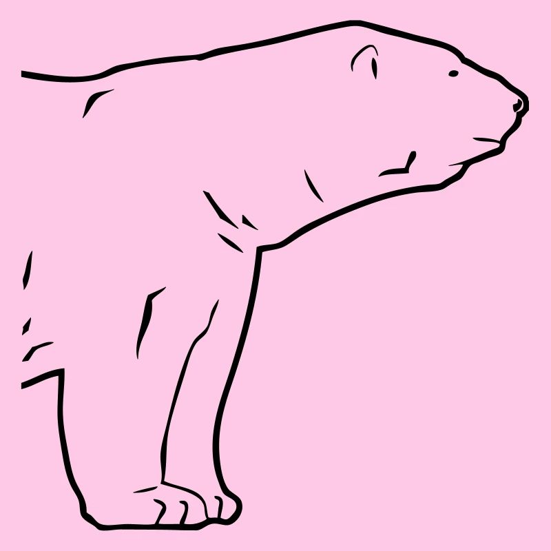 Polar Bear - Eisbär