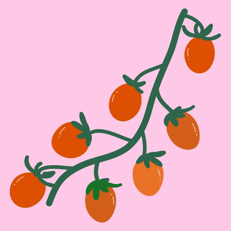 Tomates cerises2