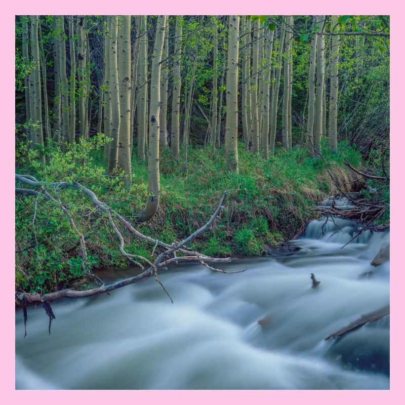 Rivière des
